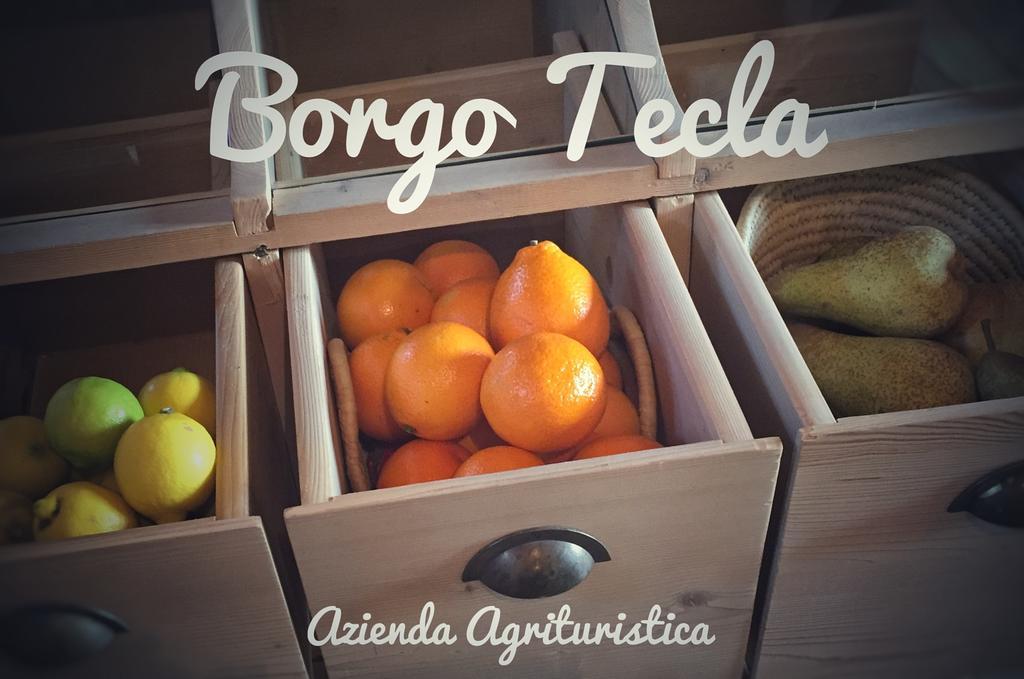 Agriturismo Borgo Tecla Роза Экстерьер фото